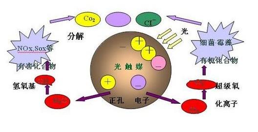 怎样利用生物除臭技术解决养殖场异味？